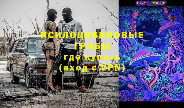 Альфа ПВП Кукмор