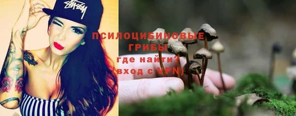 соль курить ск Ладушкин